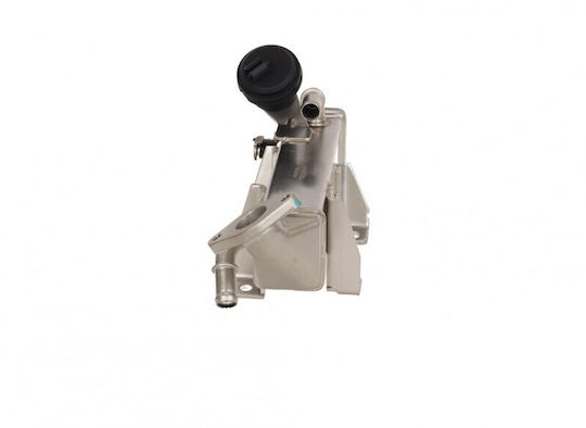 EGR Kühler Austausch Renault Master III