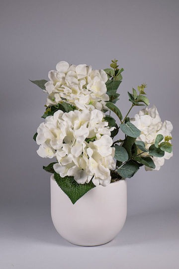 Stewehome Ορτανσία Ευκάλυπτος Λευκή Γλάστρα Σκυρόδεμα Λευκό