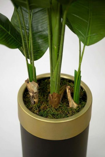 Stewehome Artificial Banana Tree 3 Trunks Black Pot Golden Arch Green 30x25x151 Cm