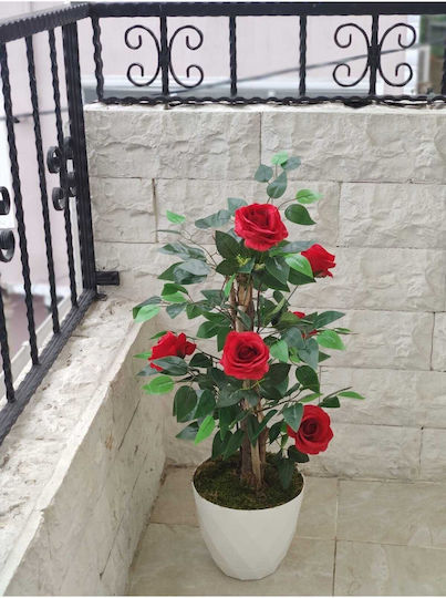 Stewehome S Rose Shrub White Luxury Pot Natural Appearance Red
