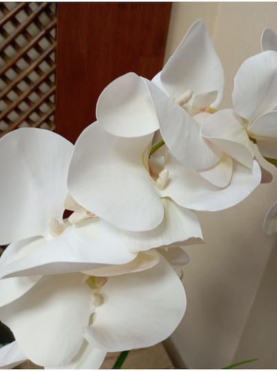 SteweHome Dekorative Künstliche Orchidee Moderne Quadratische Zementbehälter Tischgebrauch Schwarz