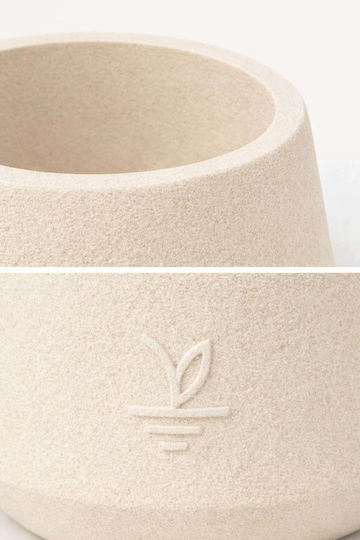 Stewehome Dekorative Topfpflasche aus Beton Kaktus Sukkulenten Bonsai Creme 15x10 cm