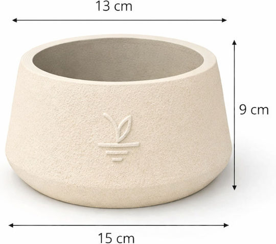 Stewehome Dekorative Topfpflasche aus Beton Kaktus Sukkulenten Bonsai Creme 15x10 cm