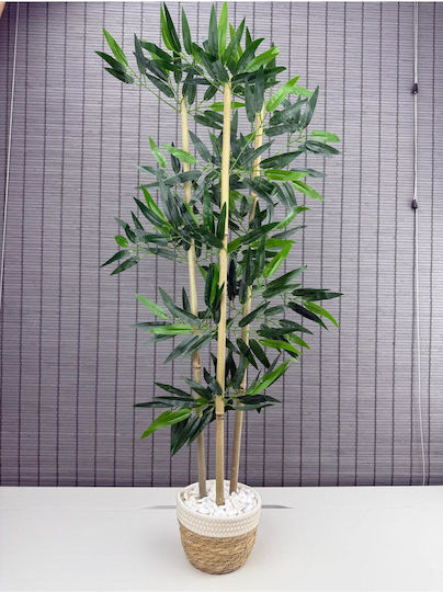 Stewehome Decorative Bamboo Tree Woven Straw Pot White Cotton 3 Trunks White 16x12x81 Cm Stewehome Decorative Bamboo Tree Woven Straw Pot White Cotton 3 Trunks White 16x12x81 Cm