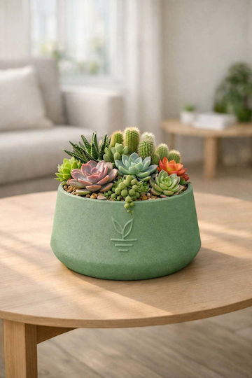 Stewehome Decorative Concrete Pot Cactus Succulent Bonsai Green 15x10 Cm