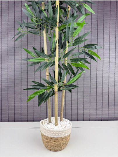 Stewehome Dekoratives Bambusbaum Geflochtene Korb Pflanzgefäß Weiß Baumwolle 3 Stämme Weiß 16x12x81 cm