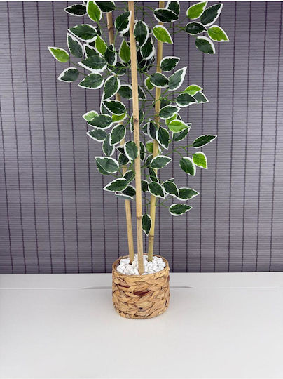 Stewehome Dekoratives Topfpflanze Benjamin Geflochtene Korbgeflochtene Gärtner 3 StüCke Beiges 16x12x81 Cm Stewehome Dekoratives Topfpflanze Benjamin Geflochtene Korbgeflochtene Gärtner 3 StüCke Beiges 16x12x81 Cm