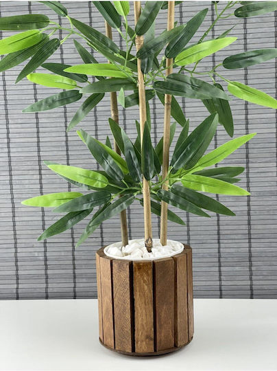 Stewehome Dekoratives Bambus Topfpflanze Mit Dichten Blättern Holztopf Beige 12x13 Cm