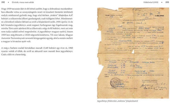 Elvittek, Vissza Nem Adtak. Ormenyszekely Tortenet - Toth Tibor