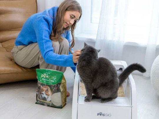 Petigio Cat Litter Tofu with Green Tea Scent