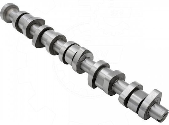 Ax Excentrici VW Transportator T5 Multivan T5 Touareg California T5 070109101q