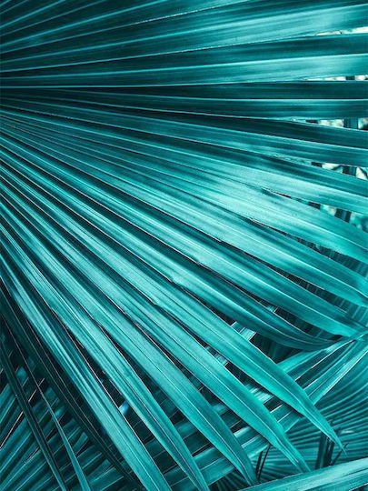 Poster Tropical Green Leaves Pst25160 40cm X 50cm Κορνίζα Καφέ Ξύλου 60688pd156420f63322