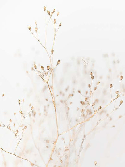 Poster Dry Flower Pst2588 40cm X 50cm Μαύρη Ξύλινη Κορνίζα-60603pd156447f55321