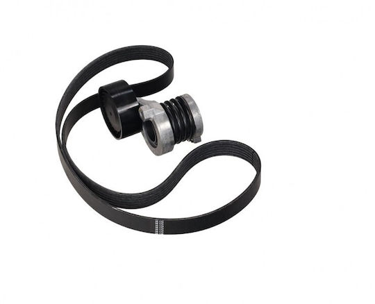 Micro-v Belt Renault Kangoo III 21 + Tensioners 1.5 Dci 117204246r