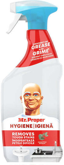 Mr. Proper Allzweckreiniger Spray Allgemeine Verwendung 750ml