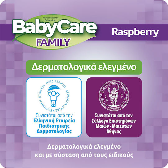 BabyCare Baby Wipes BabyCare Family Raspberry Monthly Box 12X90 pcs