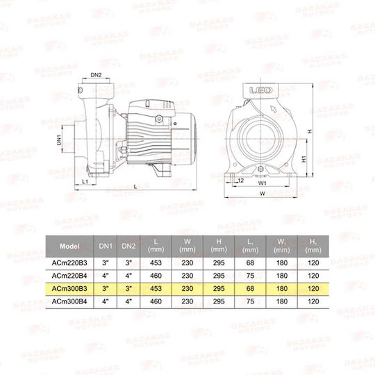 Leo Group ACm300B3 Electric Surface Water Pump Centrifugal 4hp Single-Phase