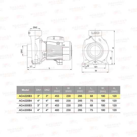 Leo Group AC220B3 Electric Surface Centrifugal Pump 3hp Three-Phase