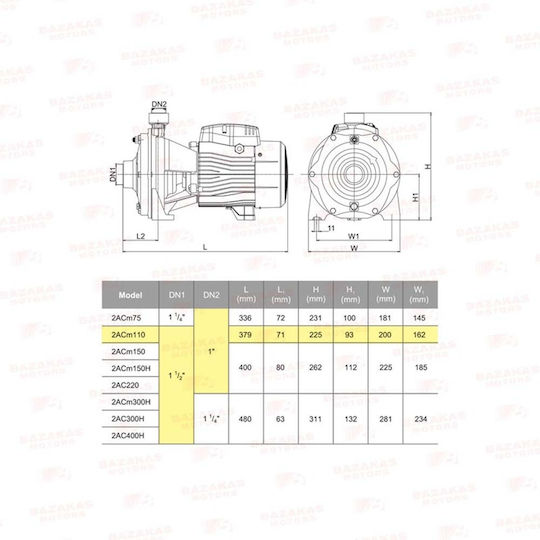 Leo Group 2AC110 Electric Surface Water Pump Centrifugal 1.5hp Three-Phase