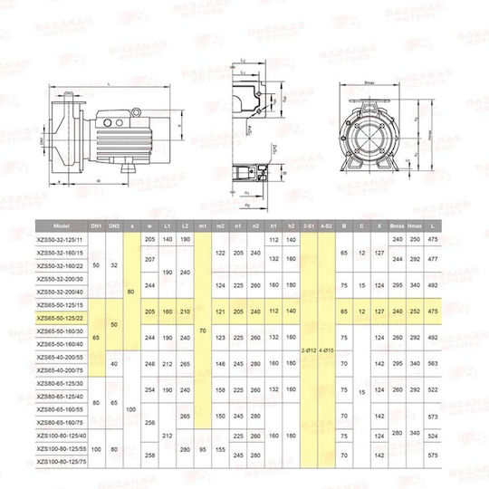Leo Group XSZ 65-50-125/2,2 Pompa de apă de suprafață electrică Centrifugal 3hp Trei faze