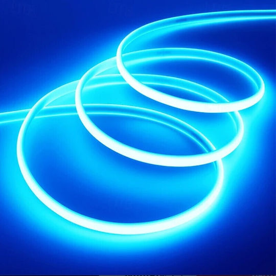 LED-Streifen 220V Blaues Licht 100m COB Typ