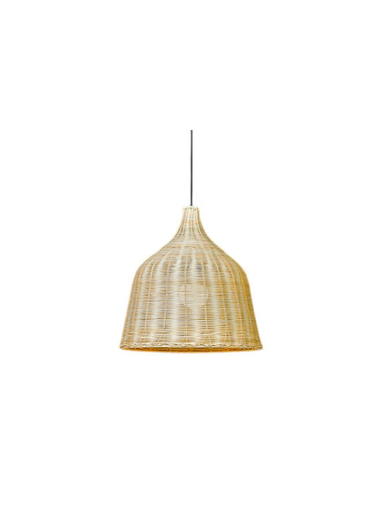 Pendant Light