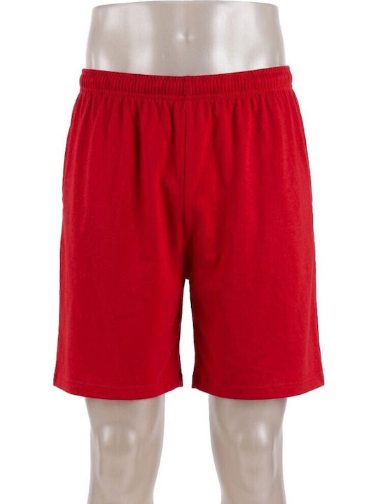 00505 Men's Sports Monochrome Shorts Red