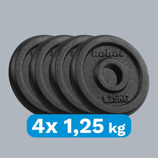 Σετ Δίσκοι Μεταλλικοί 4 x 1.25kg Φ31mm