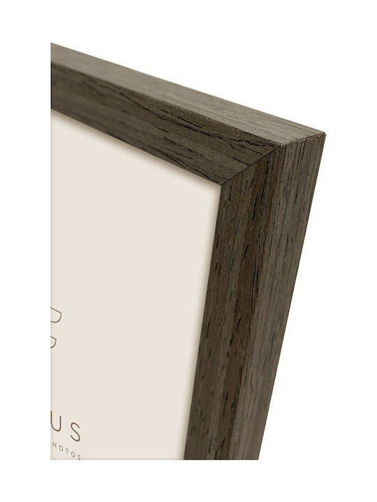 Focus Willow Plastic Photo Frame With Brown Frame