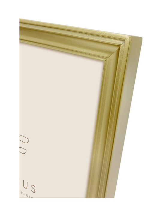 Focus Plastic Photo Frame With Gold Frame