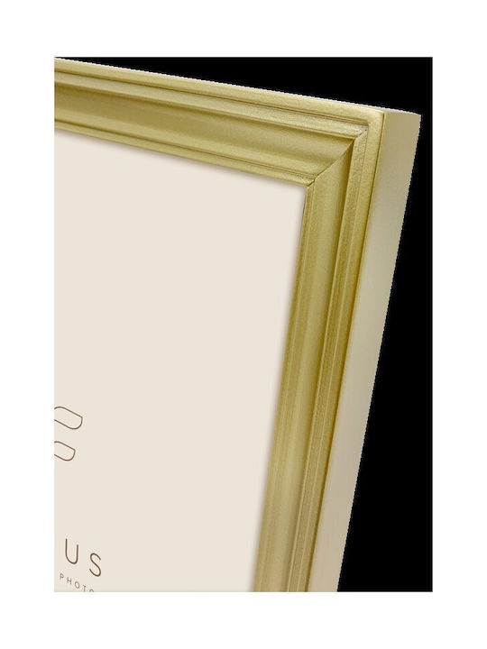 Focus Plastic Photo Frame With Gold Frame