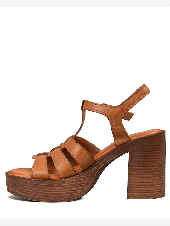 Zakro Collection