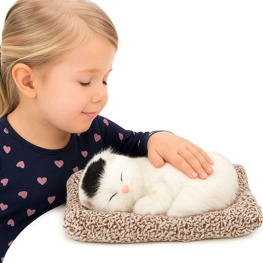 Lean Toys Plush Kitten with Sound