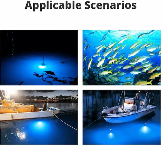 Led Professional Underwater Fishing Lamp 12/24v Blue 60 Super Led 18000lm Ipx8 – Super Fish Lamp Tc-554