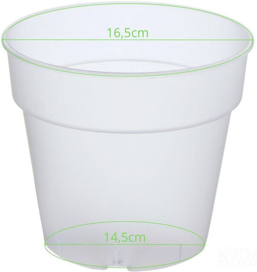 Prosperplast Plastic Transparent Flower Pot