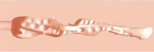 XKIN Masturbator Vagina