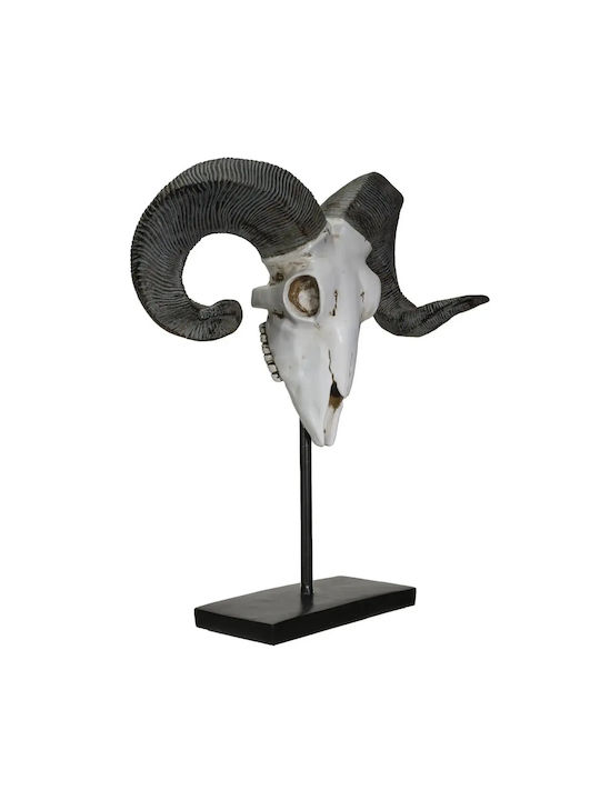Decorativ Ram Decorative Skull 29,5cm 13738