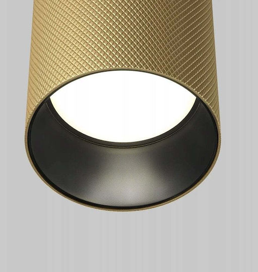 Maytoni Pendant Light Gold with Socket GU10