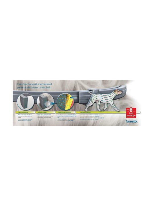 Foresto Guler Pentru Câini Mare Peste 8 Kg