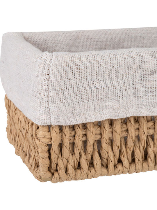 Estia Botanica Paper Storage Box Beige 32x10x8cm