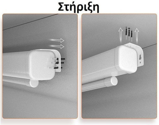 Conceptum Electric Wall Mounted Projector Projection Screen 16:9 / 1:1 / 80"