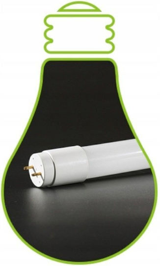 Eco Light Bec LED 9W 60cm Pentru Bază G13 Alb Rece 1440 Lumen