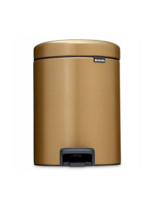 Brabantia Brabantia Mülleimer NewIcon Pedal Metallisch mit Pedal 5lt
