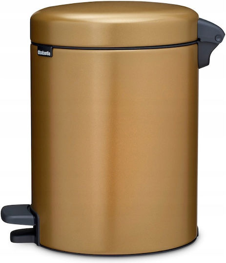 Brabantia NewIcon Pedal Waste Bin Metallic with Pedal 5L