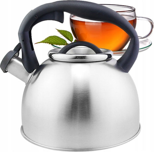Zilan Βραστήρας Ανοξείδωτος 3000ml