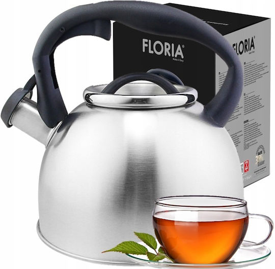 Zilan Βραστήρας Ανοξείδωτος Ασημί 3000ml