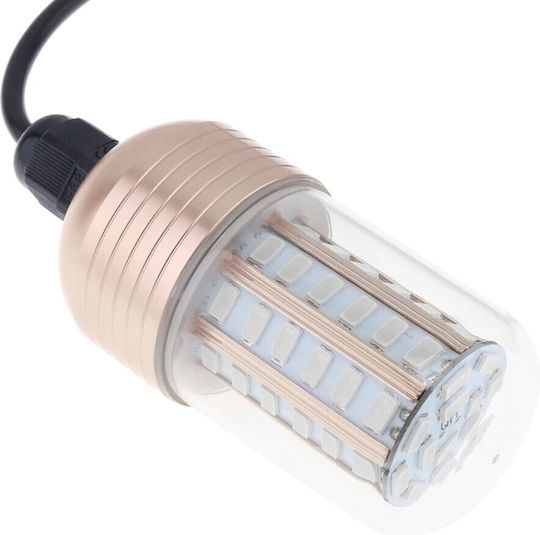 Led Professional Underwater Fishing Lamp 12/24v White 60 Super Led 18000lm Ipx8 – Super Fish Lamp Tc-553
