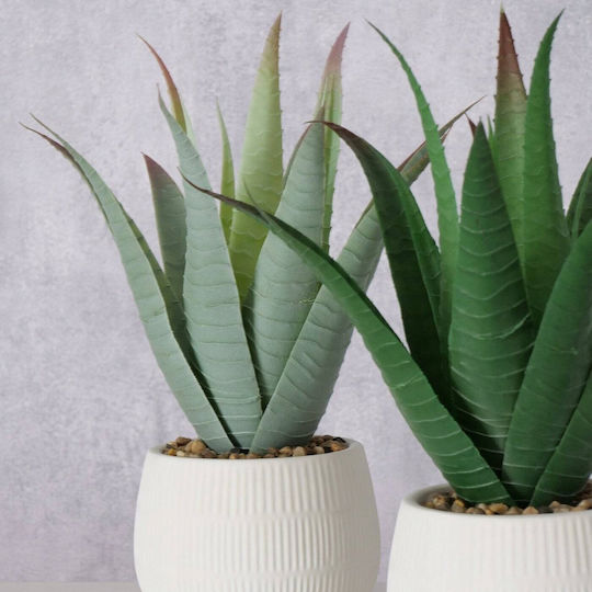 Aloe În Ghiveci Mic Albastru 29cm Boltze
