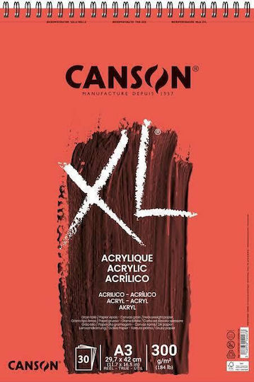 Μπλοκ Canson Xl Oil & Acrylic Sp Α3 300gr 30φ
