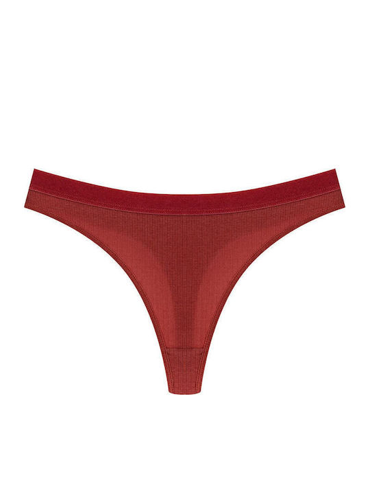 Slip 3Pack